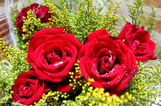 玫瑰花花语:纯洁的爱,美丽的爱情