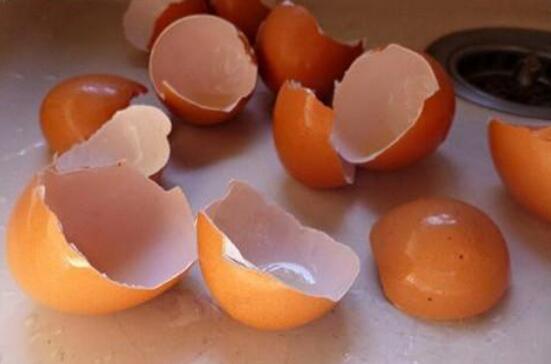 坏鸡蛋能直接浇花里吗，坏鸡蛋做花肥的方法(3种)