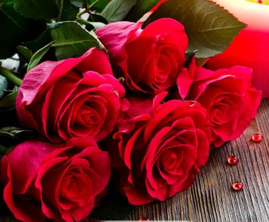 玫瑰花有哪些颜色，11种玫瑰花颜色代表的含义