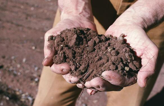 营养土的自制方法——手把手教你自制营养土