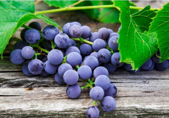 夏季吃什么水果好，常吃葡萄可美白养颜抗衰老