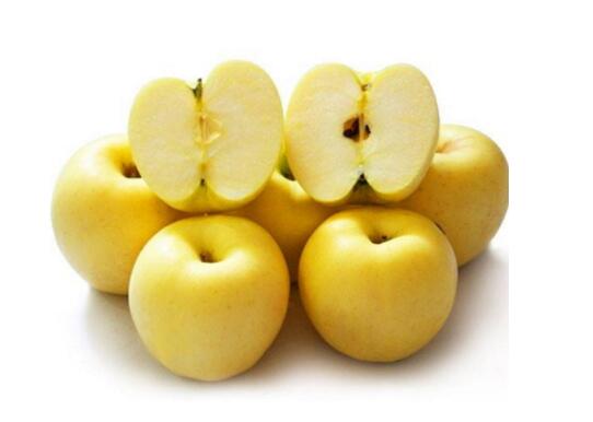 苹果什么时候成熟，苹果什么时候吃最好(多是秋季)