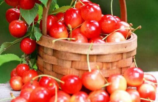 吃什么水果能缓解孕吐，樱桃能有效缓解孕吐还能补血