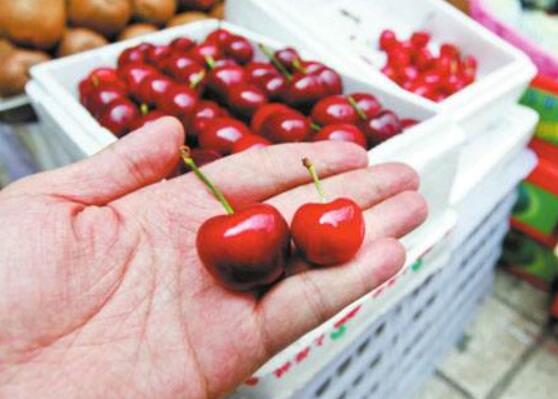 樱桃多少钱一斤2018，现在一般是25元～35元一斤