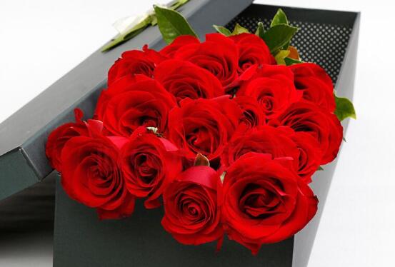 19朵玫瑰花的花语是什么，爱到极致/一生一世只爱你一个