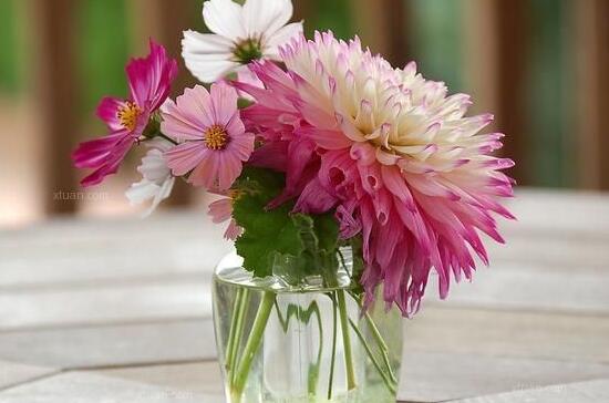插花时花瓶和花的高度比例，遵循三个比例插出美丽花卉