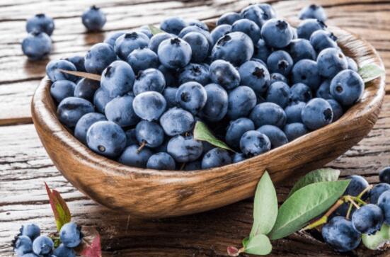 蓝莓的功效与作用价格，蓝莓能防病降脂但进口国产价格差异大
