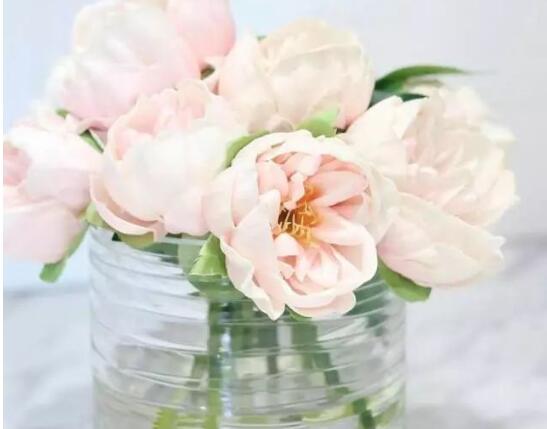 矮花瓶适合插什么花，芍药/牡丹/玫瑰(花头大的花都行)