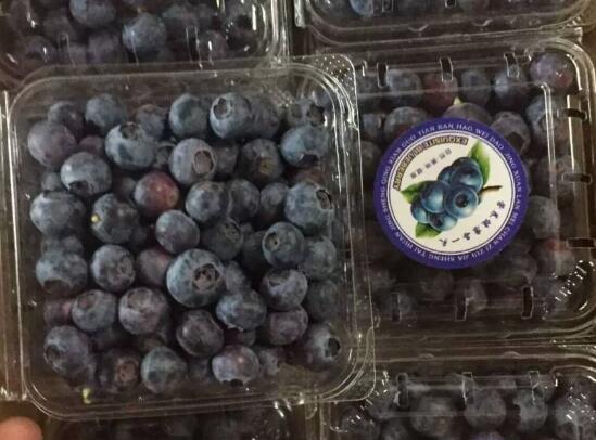 蓝莓多少钱一斤，进口300多元一斤/国产50多元一斤