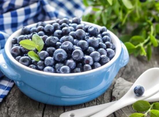 蓝莓多少钱一斤，进口300多元一斤/国产50多元一斤
