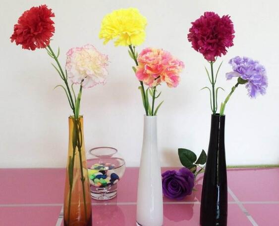 高的花瓶适合养什么花 最适合大气高贵有逼格的花 花语网