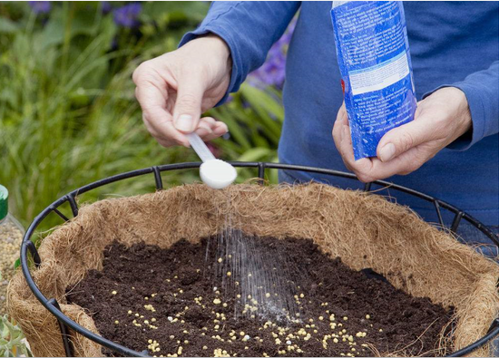 绿萝用什么土比较好养，教你绿萝土壤如何配置