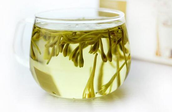 金银花怎么泡水喝，用金银花泡茶喝的好处与禁忌