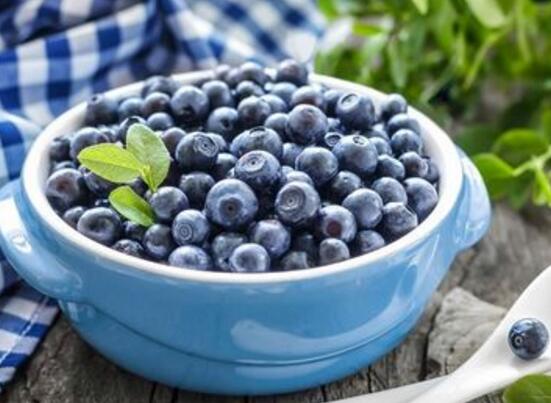蓝莓一天吃多少为宜，一般吃6～10颗/最多不超过20颗