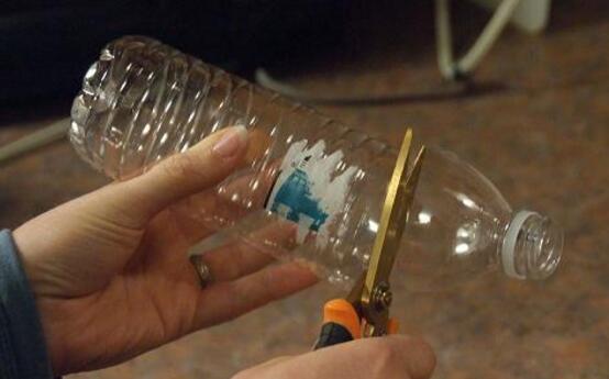 栀子花懒人的水培扦插，一个塑料瓶一块泡沫就能搞定
