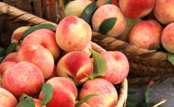 荔枝和桃子能一起吃吗，一起吃可预防便秘还能补气血