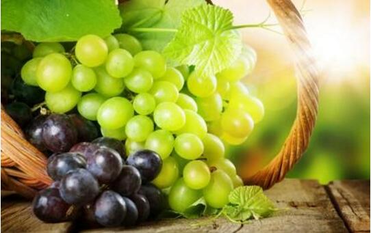 葡萄的功效与作用，止咳化痰抵抗病毒还能增强食欲