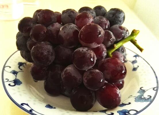葡萄怎么保存时间长，四种方法让你葡萄持续保鲜