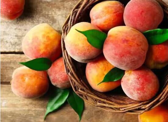 桃子和西瓜吃死人是真的吗，都是谣言二者同吃可美容养颜