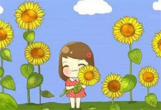 向日葵的花语和寓意 太阳 沉默的爱 寓意勇敢追求幸福 花语网