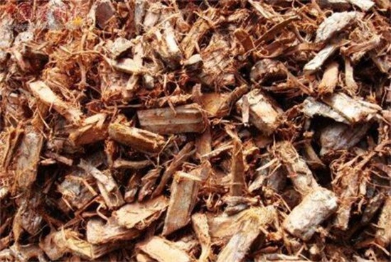 树皮发酵最简单的方法，详解松树皮与柳树皮发酵方法