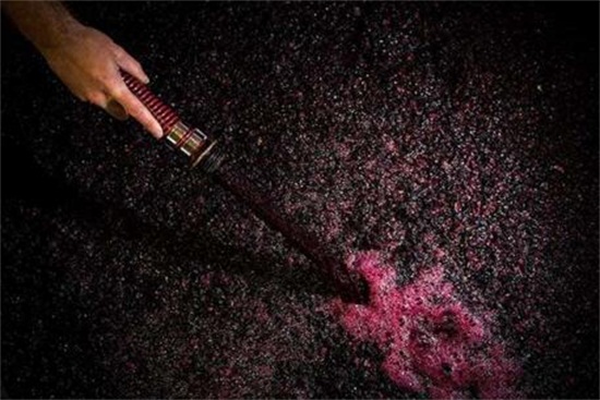 葡萄酒发酵多长时间可以喝，少则一周多则半年