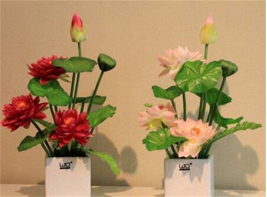 睡莲插花瓶里怎么养，4个步骤插入花瓶养殖方法