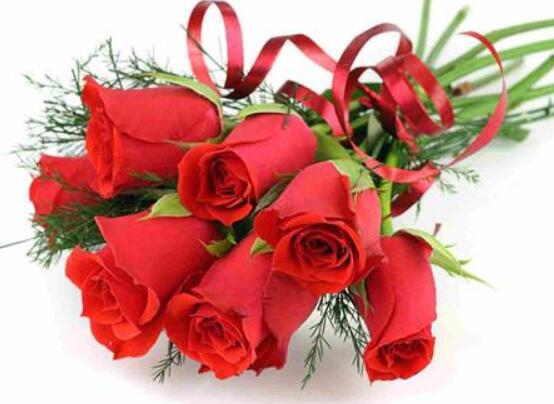 玫瑰的传说和花语，盘点各种颜色朵数玫瑰花的象征意义