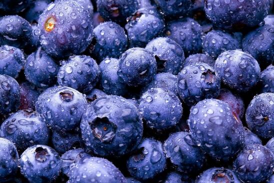 蓝莓不能和什么一起吃，吃蓝莓不宜吃海鲜/会过敏