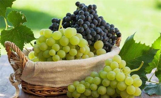 吃葡萄有什么好处，八大好处功效多多/可预防贫血