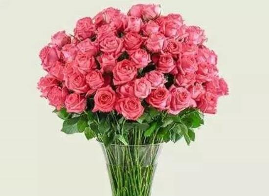送的玫瑰花怎么保存，扦插种植/插花瓶/制成干花