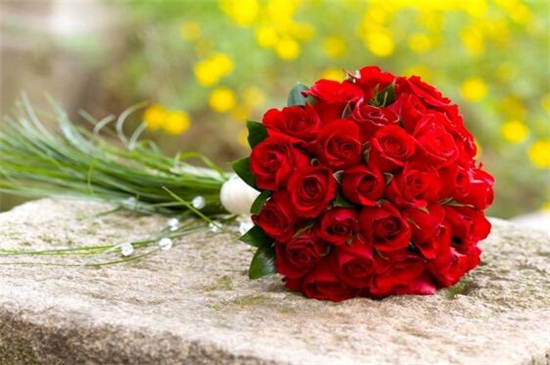 红色玫瑰花语11朵，代表着最爱只在乎你一人