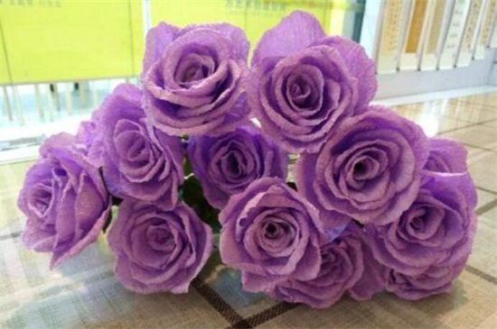 16朵紫玫瑰的寓意，表示多变不安/我只爱你与祝你顺利
