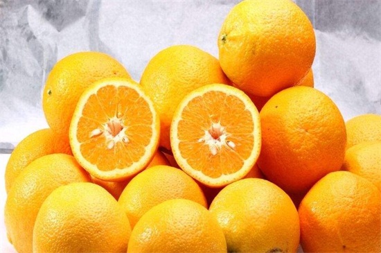 橙子种子怎么种植方法，4个步骤可让成活率翻倍
