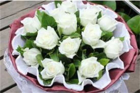 白玫瑰19朵代表什么，对爱的忍耐期待/一生一世只爱你
