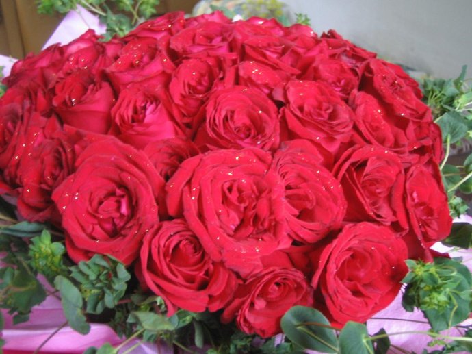56朵玫瑰代表什么意思，吾爱/为爱向前一步