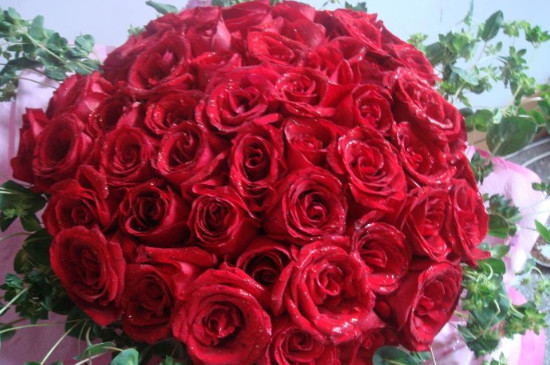 56朵玫瑰代表什么意思，吾爱/为爱向前一步