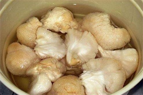 干猴头菇怎么吃最好，干猴头菇的4种最有营养吃法