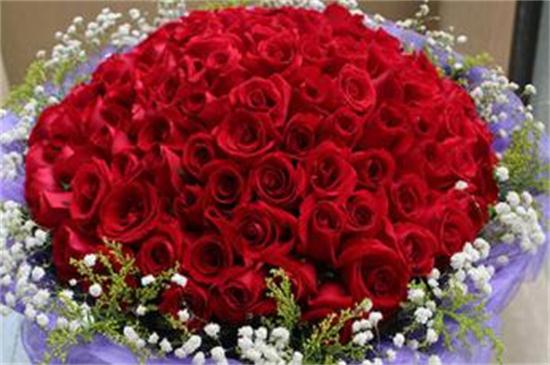 红玫瑰代表什么意思，火热的爱情