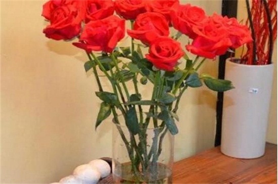 玫瑰花可以放水里养吗，玫瑰花插水里能活几天(5～20天)