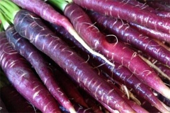 紫色的菜有哪些，盘点十大紫色最有营养的菜