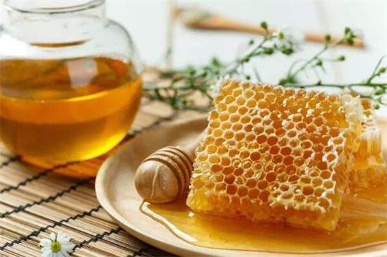 详细了解2018养蜂新政策，5个要点加强扶植养蜂行业