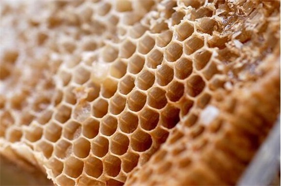 详细了解2018养蜂新政策，5个要点加强扶植养蜂行业