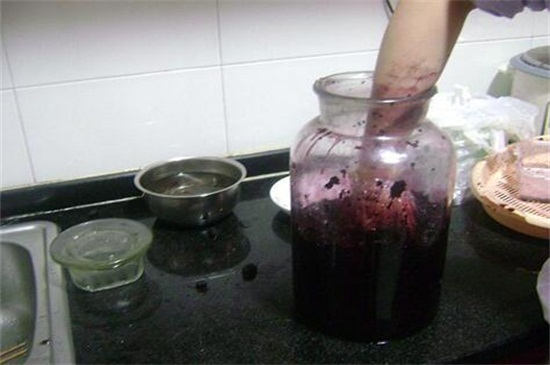 桑树果泡酒方法，清洁过滤发酵再贮藏