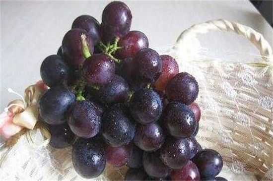 一颗葡萄多少克，10～15克左右/一天食用不要超过200克