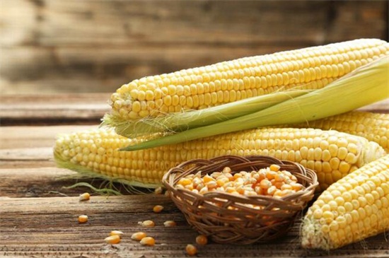 玉米不能和什么一起吃，3种食物不能同吃