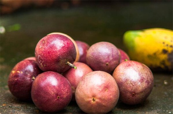 紫色水果有哪些，盘点八种营养高的水果