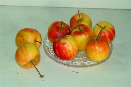 小苹果叫什么水果，像苹果的海棠果