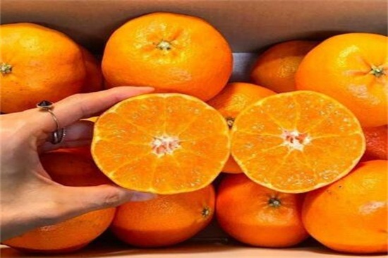 甘平柑橘介绍，柑橘杂交新品种可止咳化痰