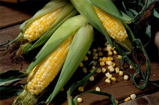 玉米啥时候成熟